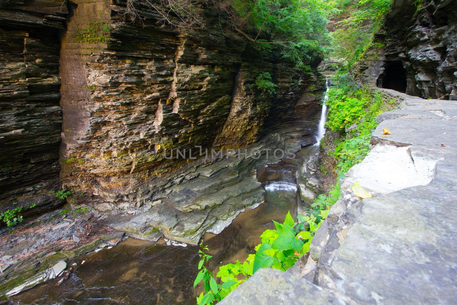 Watkins Glen State Park