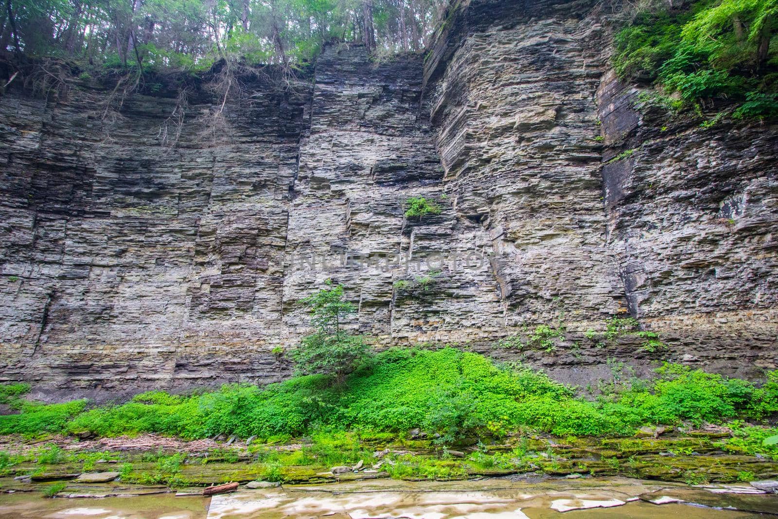 Watkins Glen State Park