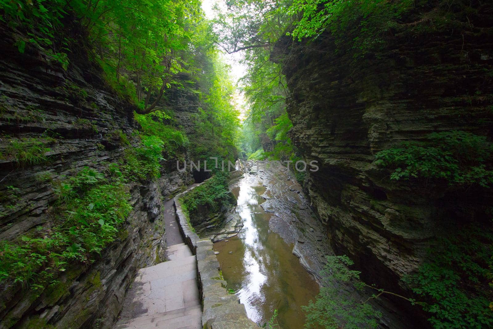 Watkins Glen State Park