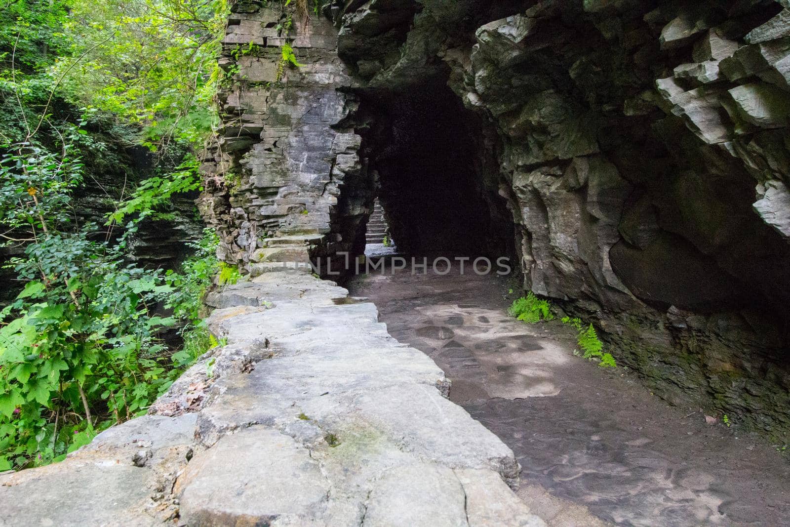 Watkins Glen State Park