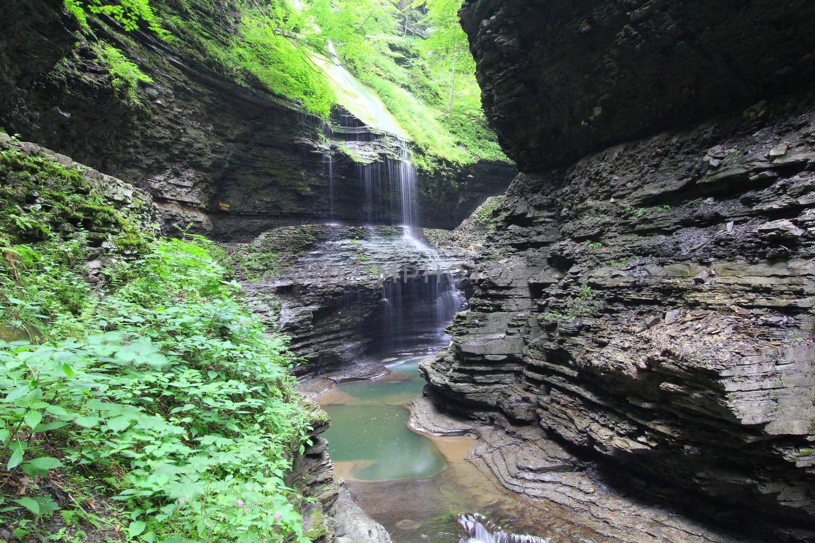 Watkins Glen State Park