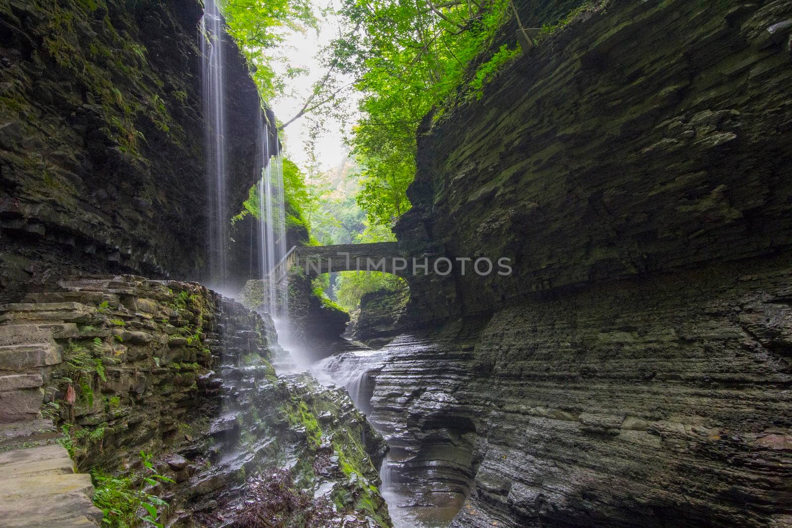 Watkins Glen State Park
