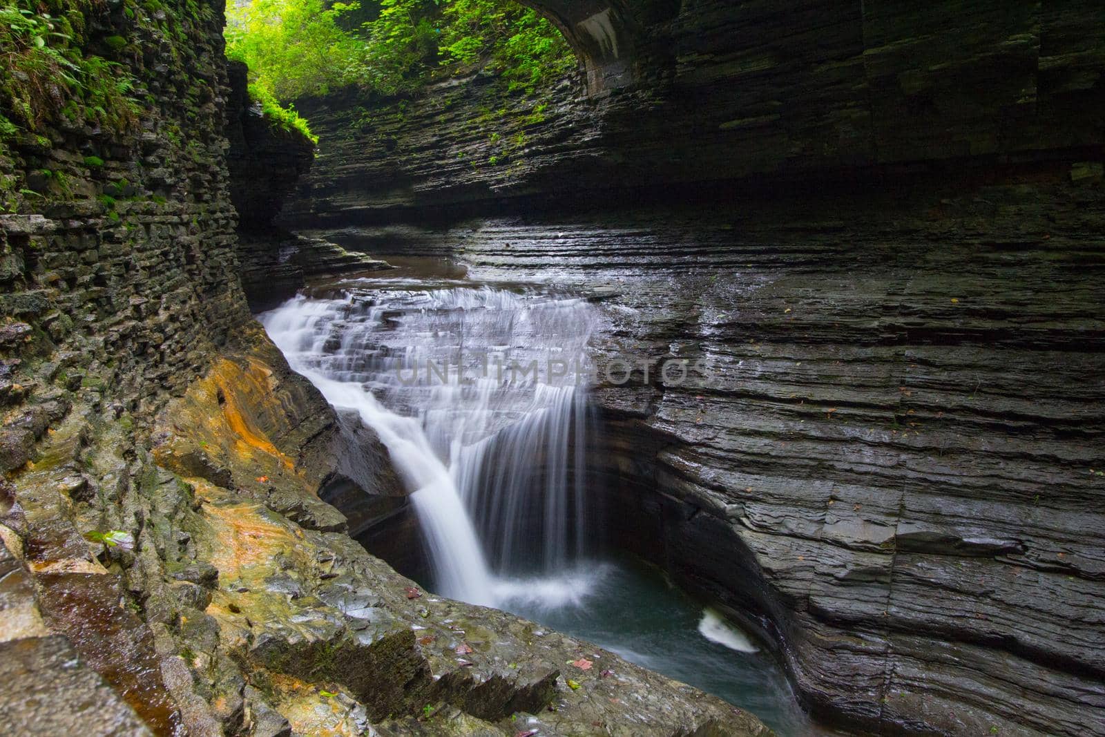 Watkins Glen State Park