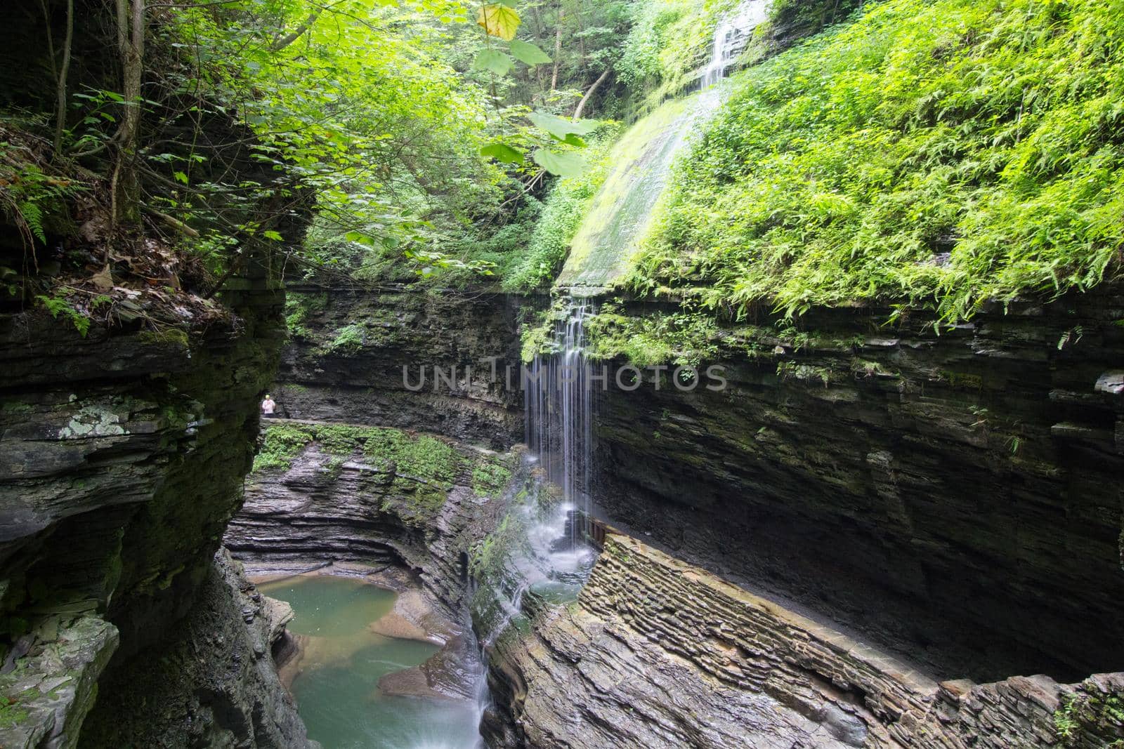 Watkins Glen State Park
