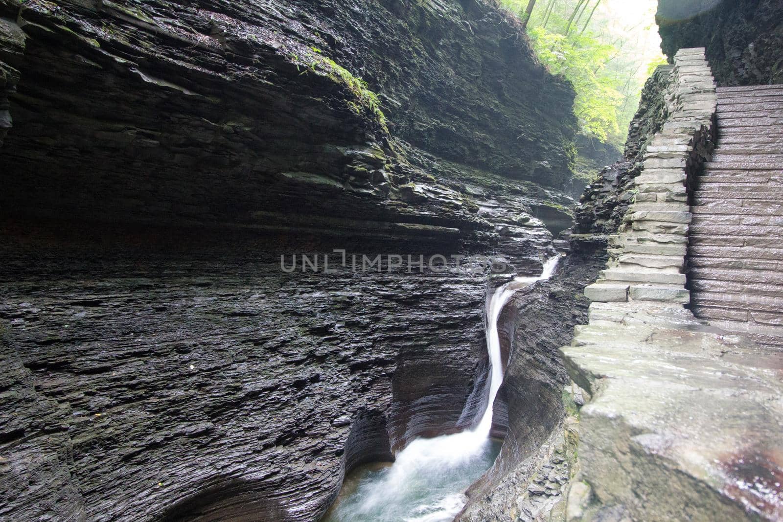 Watkins Glen State Park