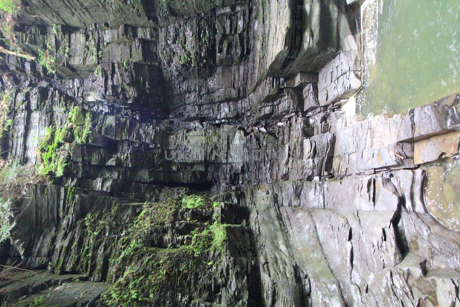 Watkins Glen State Park
