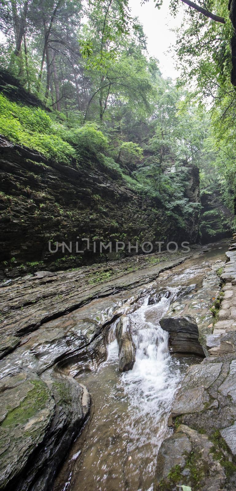 Watkins Glen State Park