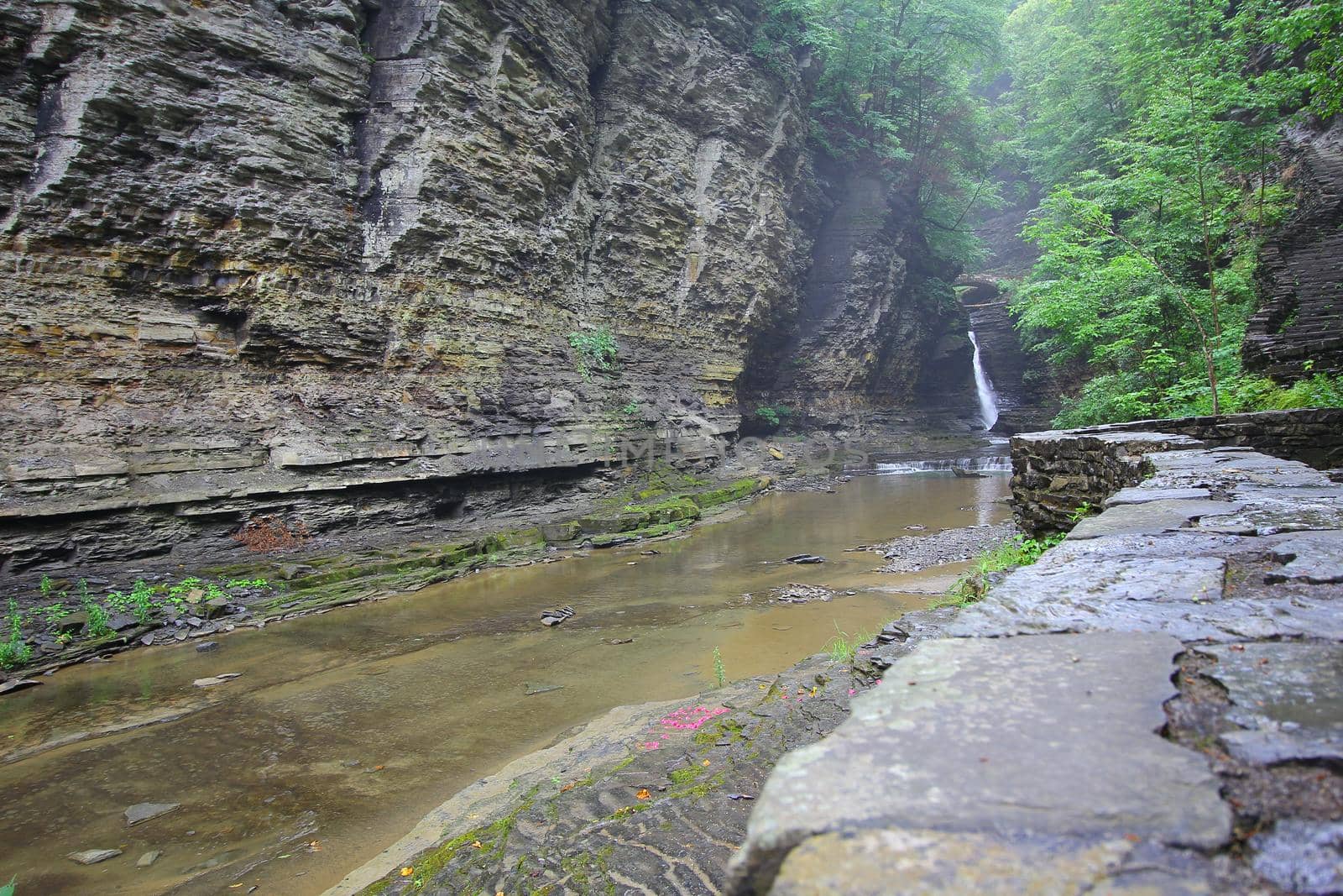 Watkins Glen State Park