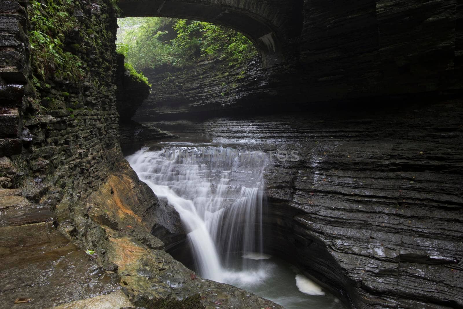 Watkins Glen State Park