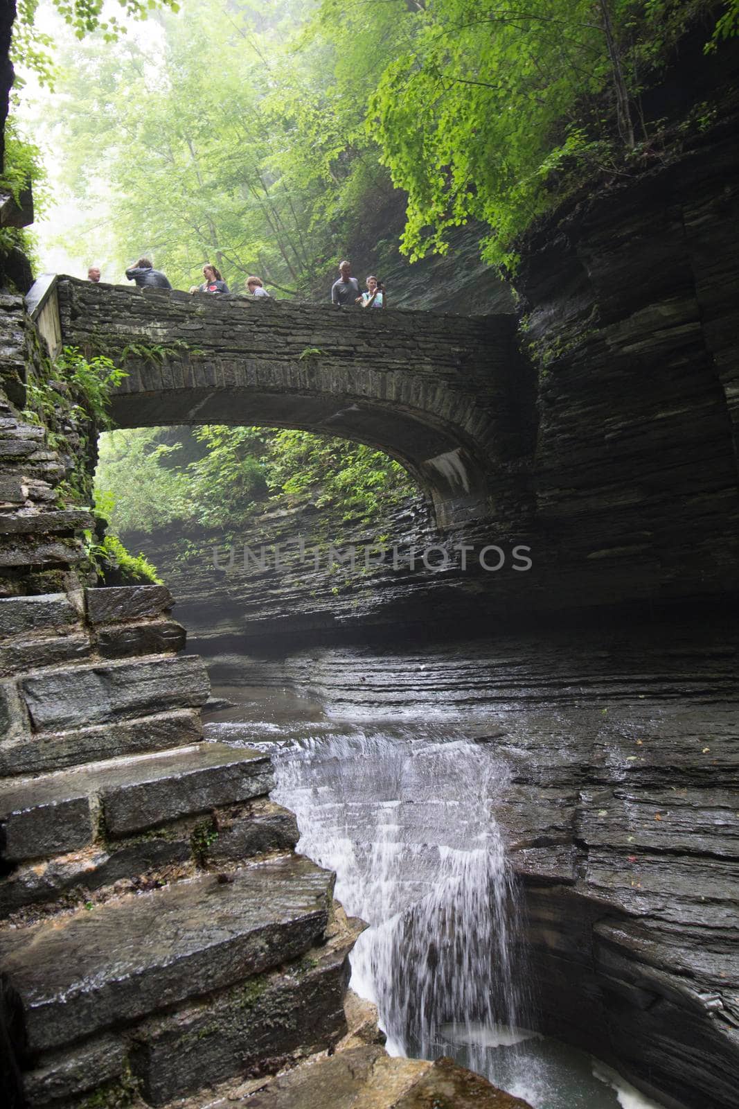 Watkins Glen State Park