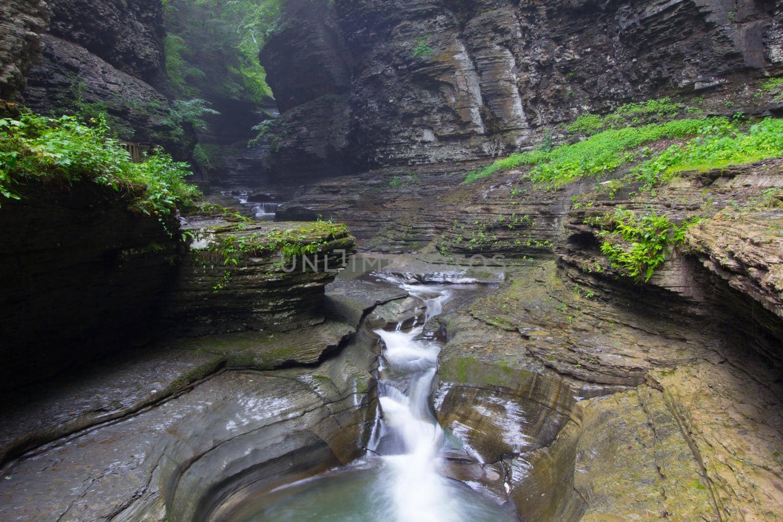 Watkins Glen State Park