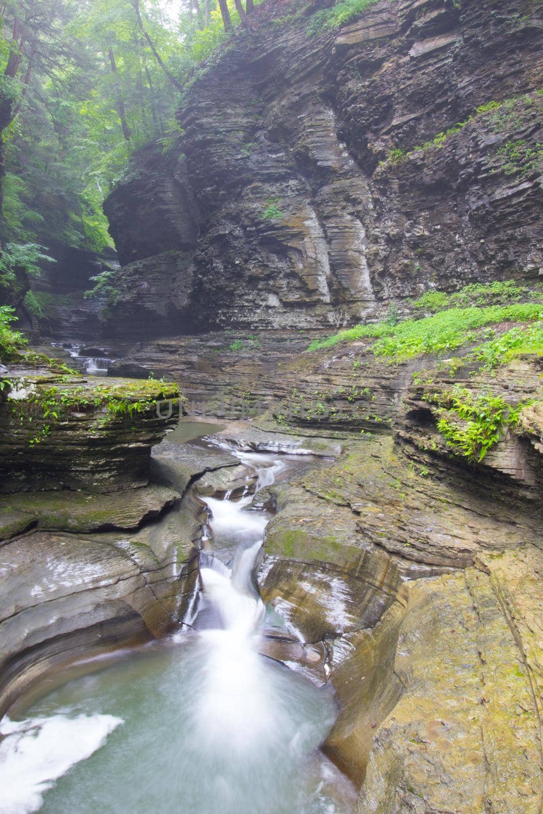 Watkins Glen State Park