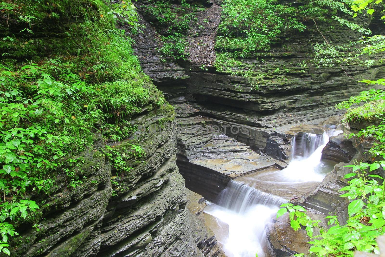 Watkins Glen State Park