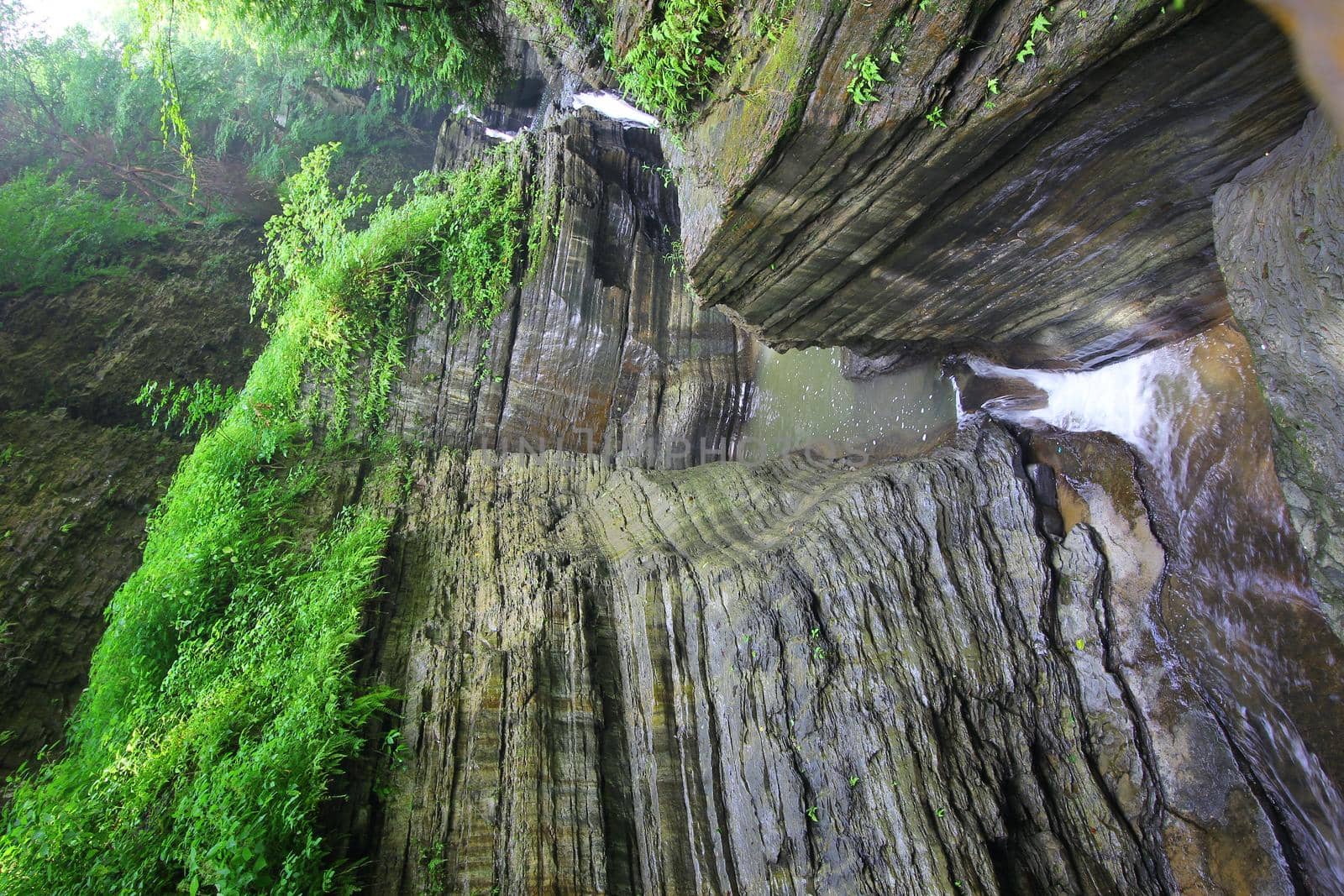 Watkins Glen State Park