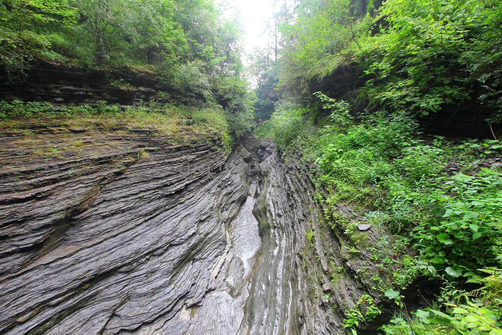 Watkins Glen State Park