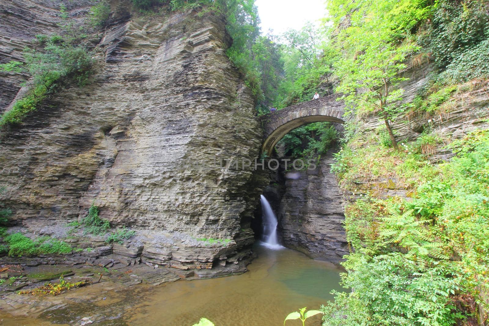 Watkins Glen State Park