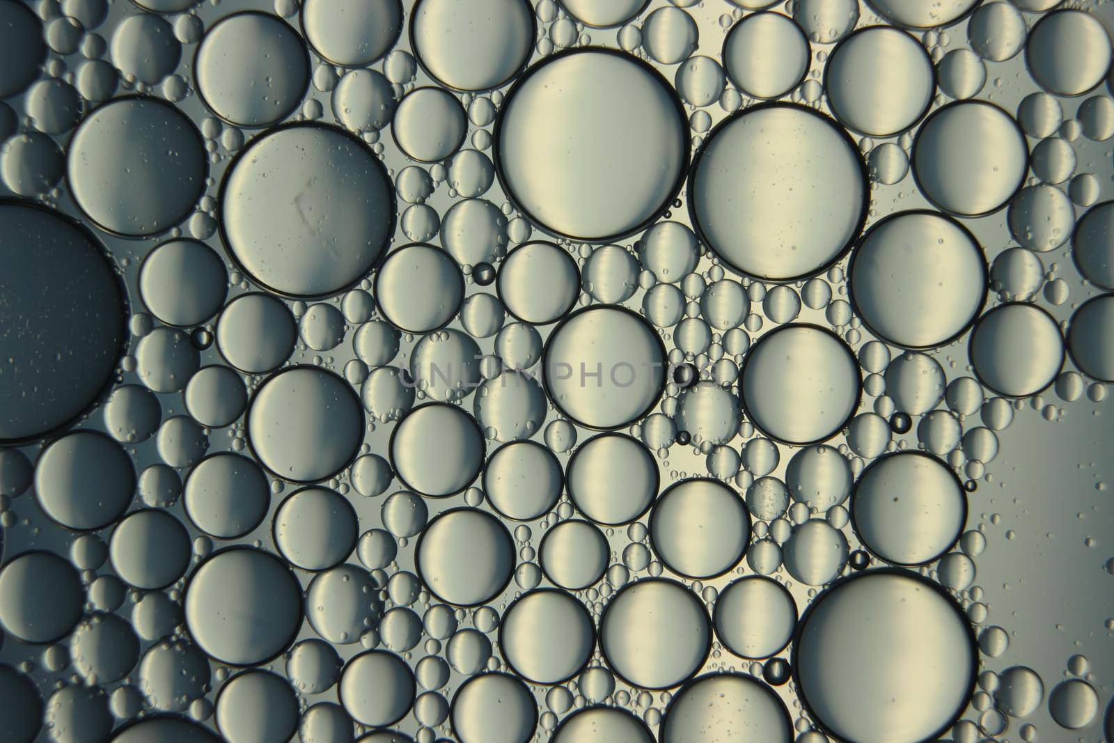 abstract macro background of oil circles floating over water surface . Macro closeup view of bubbles on water . oil bubbles in the water macro photographic background