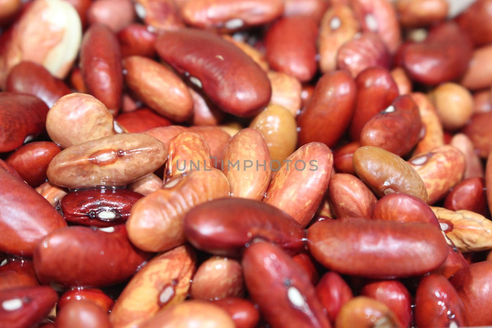 Closeup view of uncooked red kidney beans by Photochowk