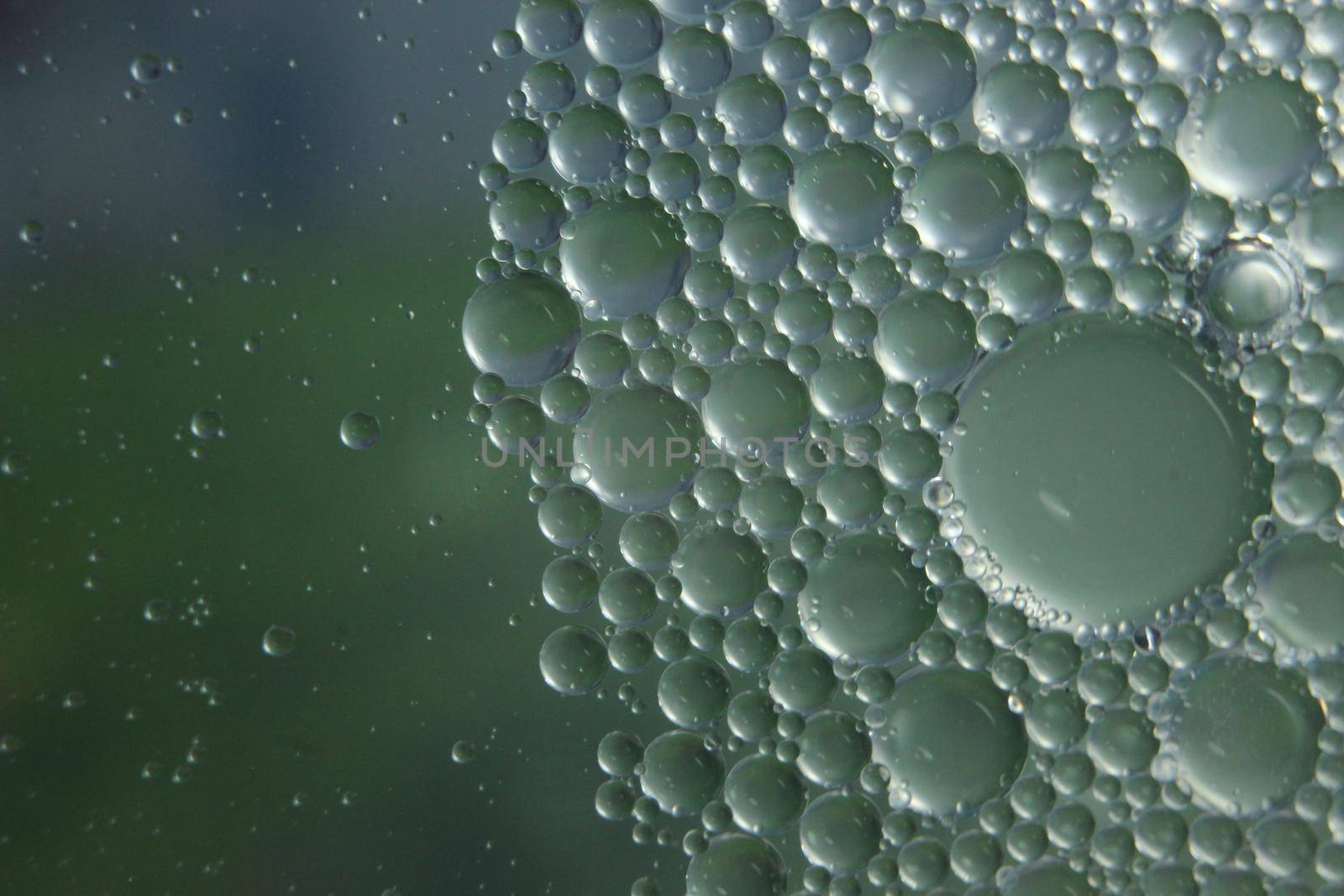 abstract macro background of oil circles floating over water surface . Macro closeup view of bubbles on water . oil bubbles in the water macro photographic background