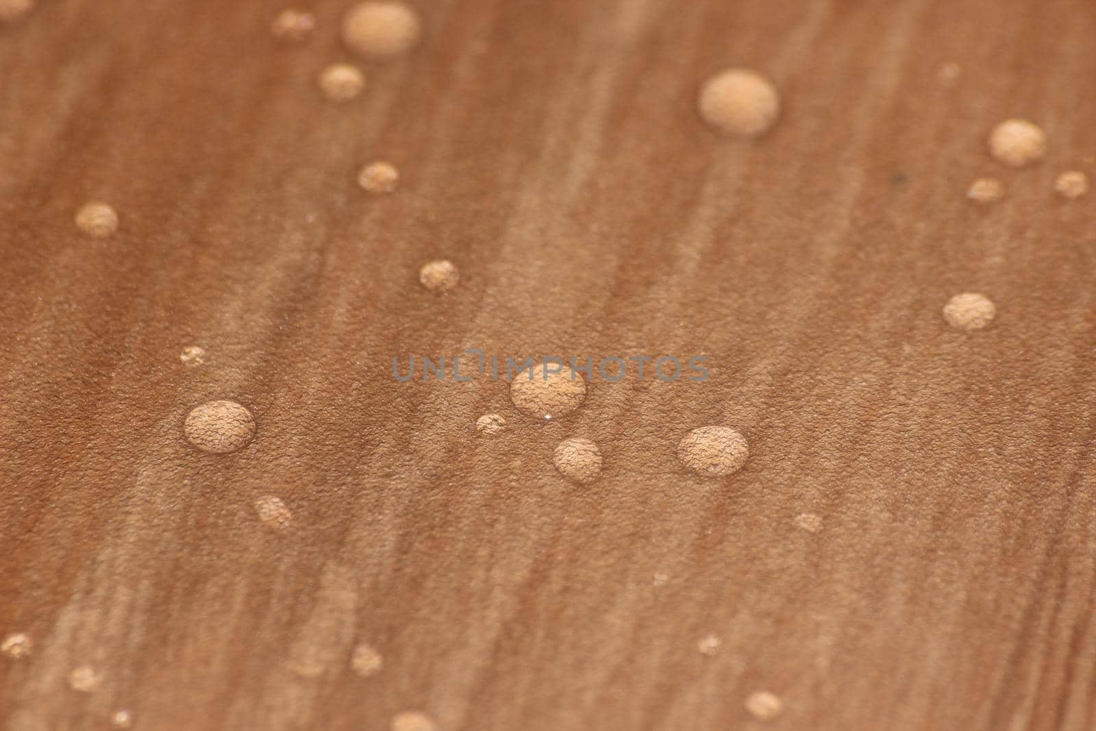 Closeup selective focus view of water drops on wooden floor. Abstract raindrops pattern on wooden board
