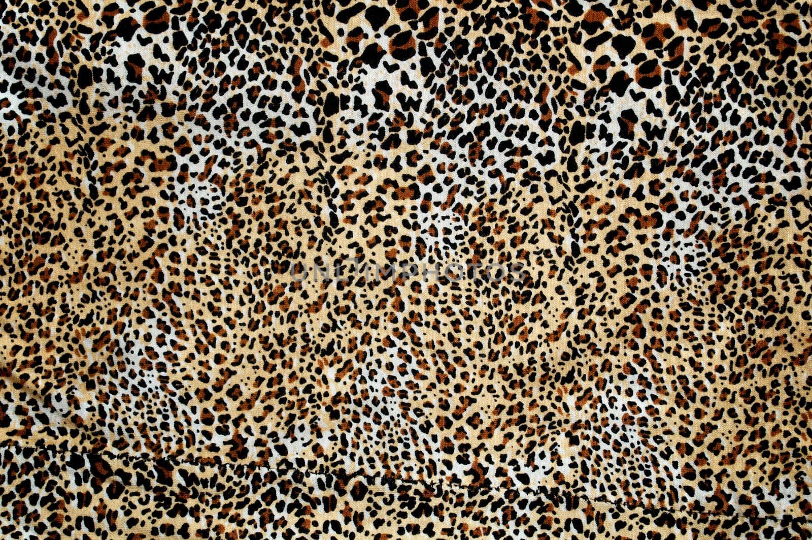 Close-up leopard print pattern for background use.Texture or background