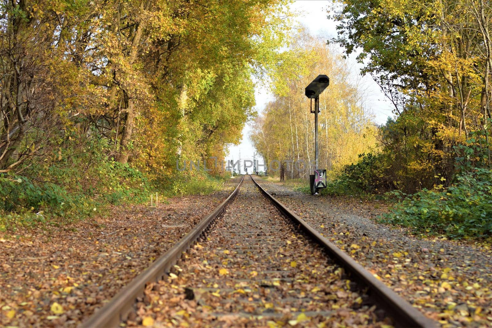 Railroad tracks with trees on both sides in autumn on a sunny day