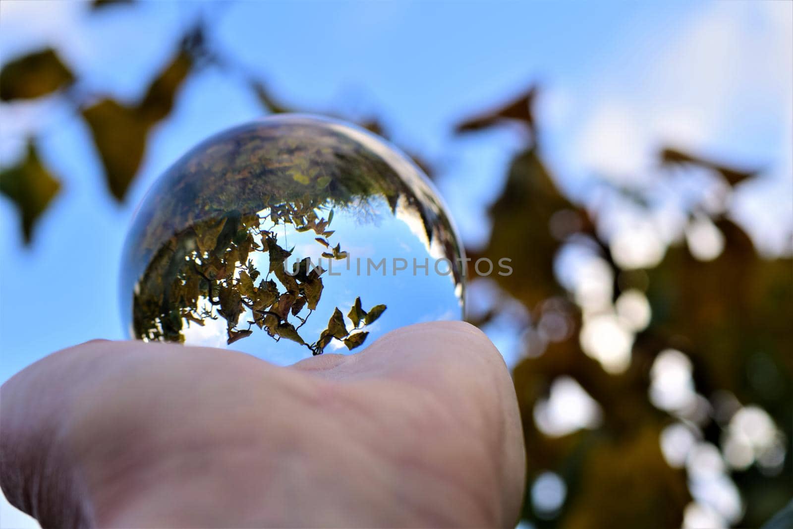 Blue sky with a few clouds and some trees trough a crystal lens ball on a human hand