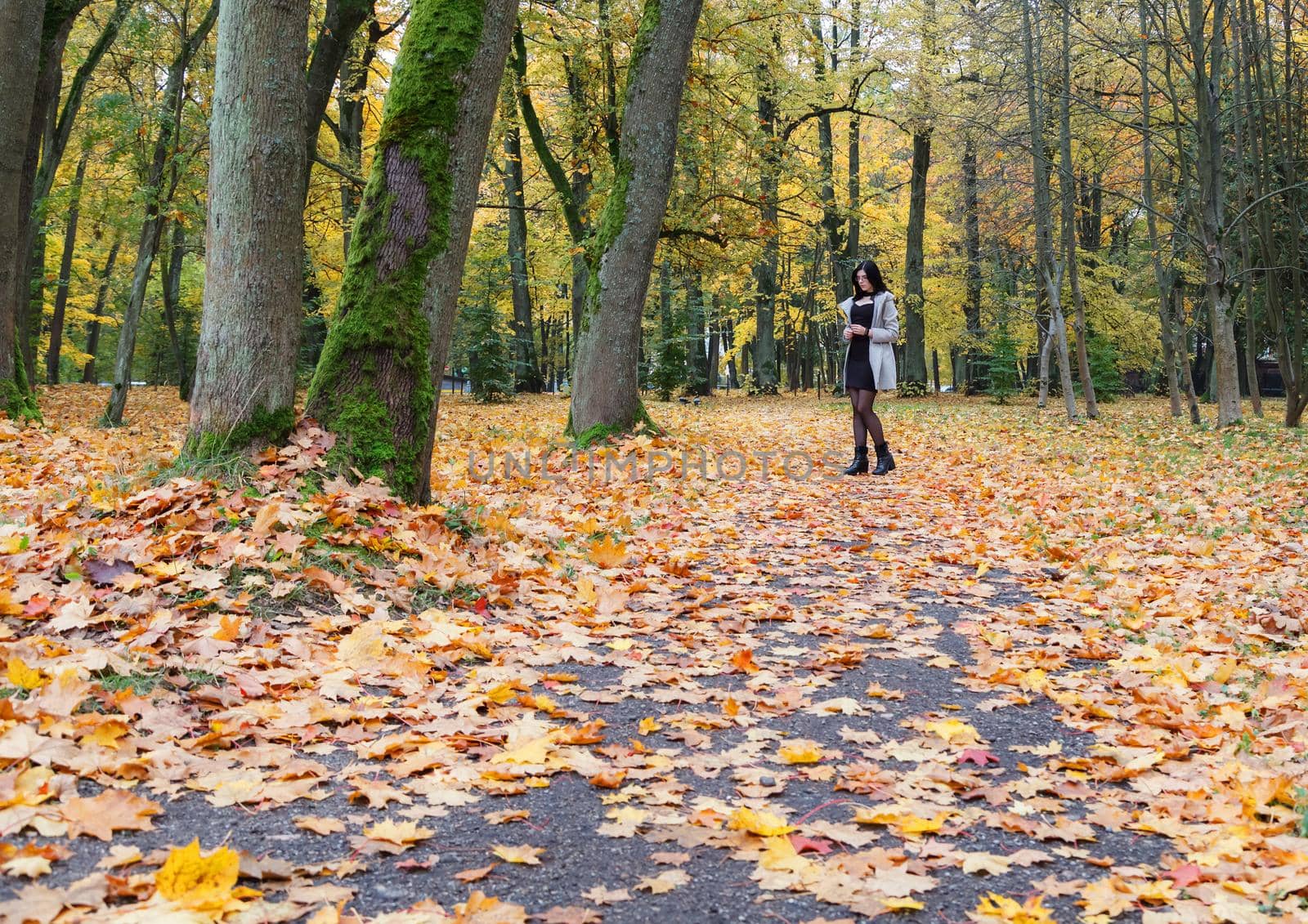 young girl in a gray coat standing on an alley in a city park on autumn day