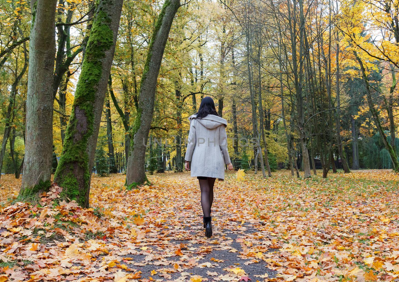 young girl in a gray coat walking on an alley in a city park on an autumn day. back view