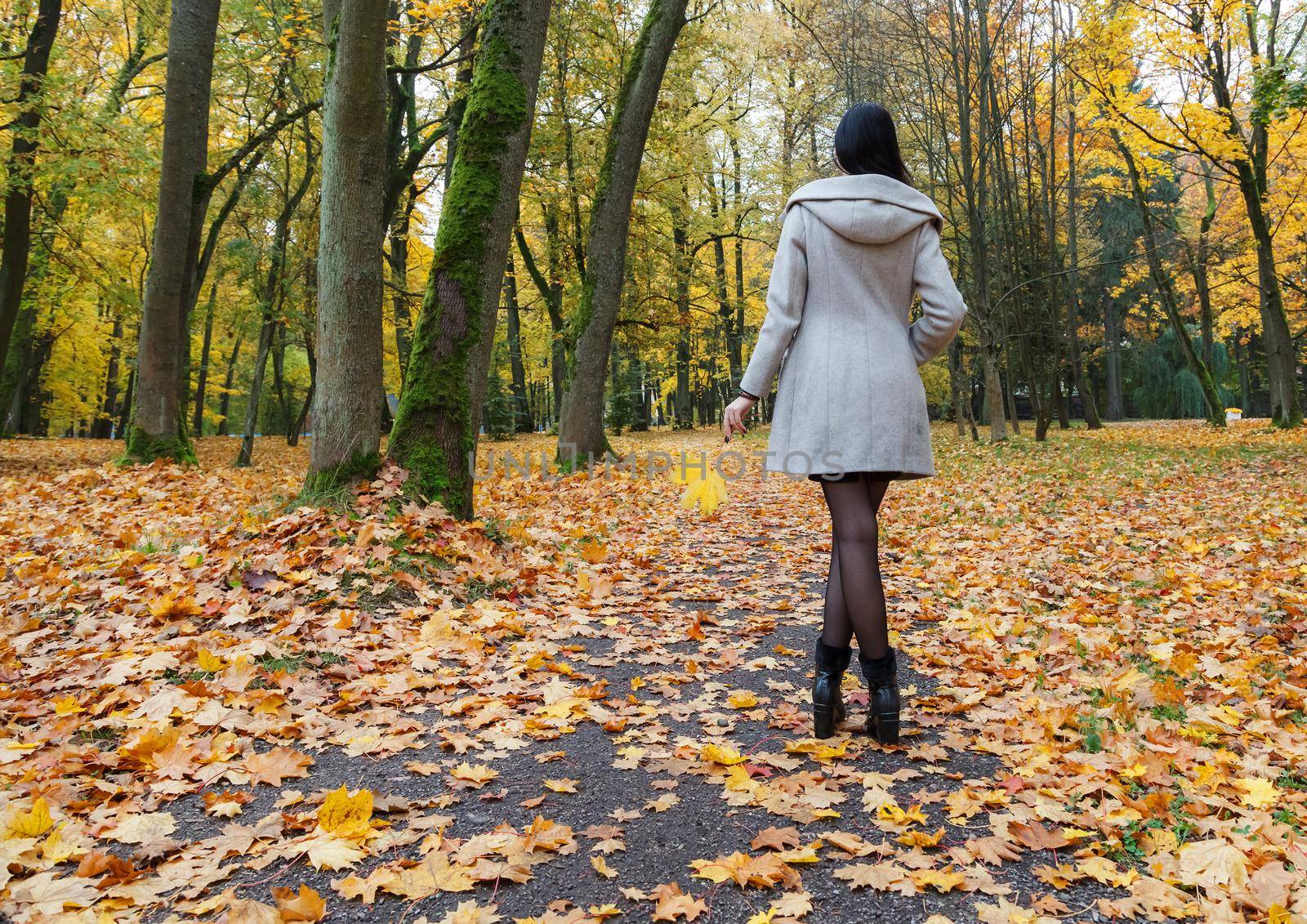 young girl in a gray coat standing on an alley in a city park on an autumn day. back view