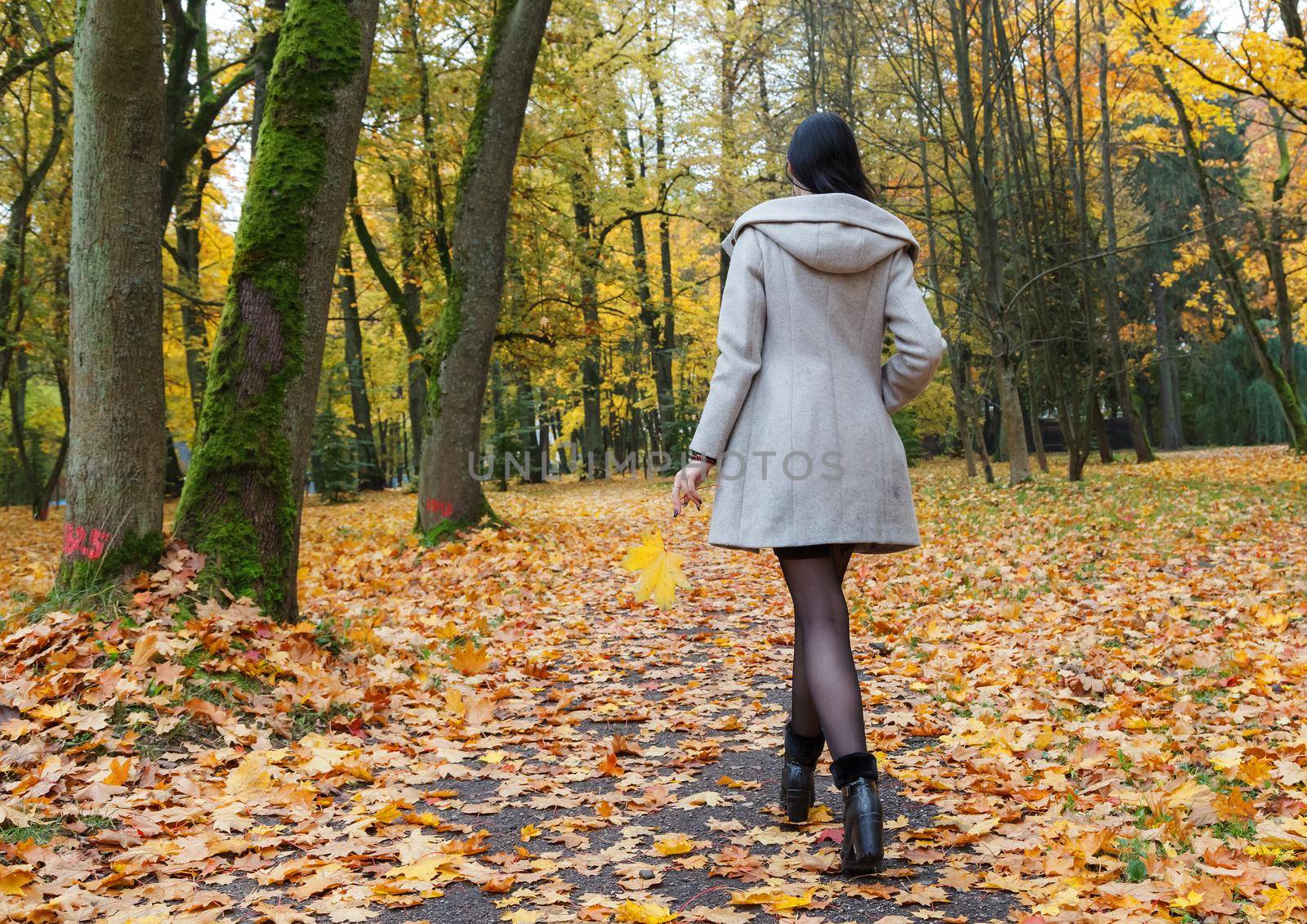 young girl in a gray coat walking on an alley in a city park on an autumn day. back view