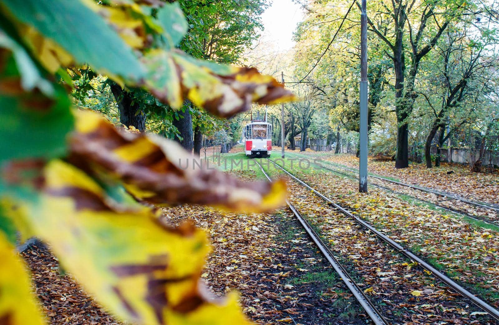 city tram rides on rails on a sunny autumn morning