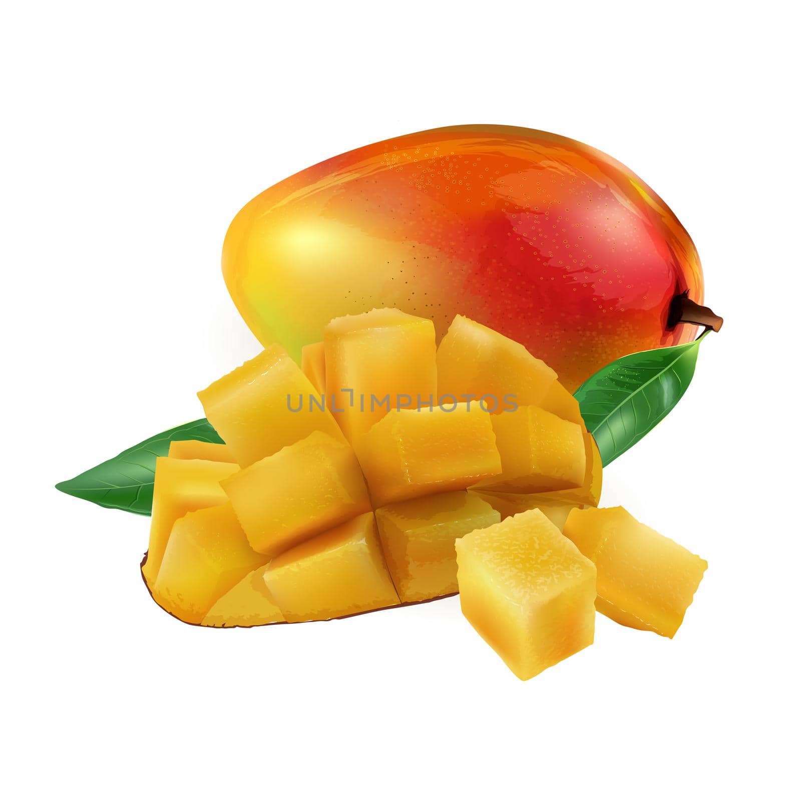 Whole and diced ripe mango. Realistic illustration on a white background.