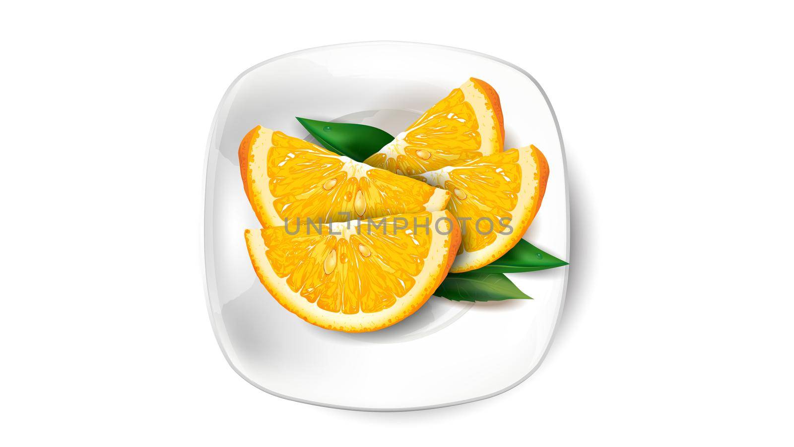 Orange slices and green leaves on a white plate. by ConceptCafe