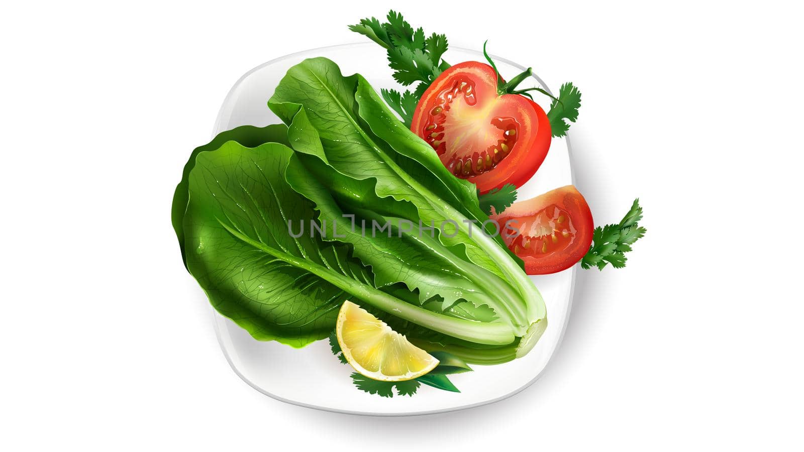 Lettuce, tomato and a lemon slice on a snow-white plate.