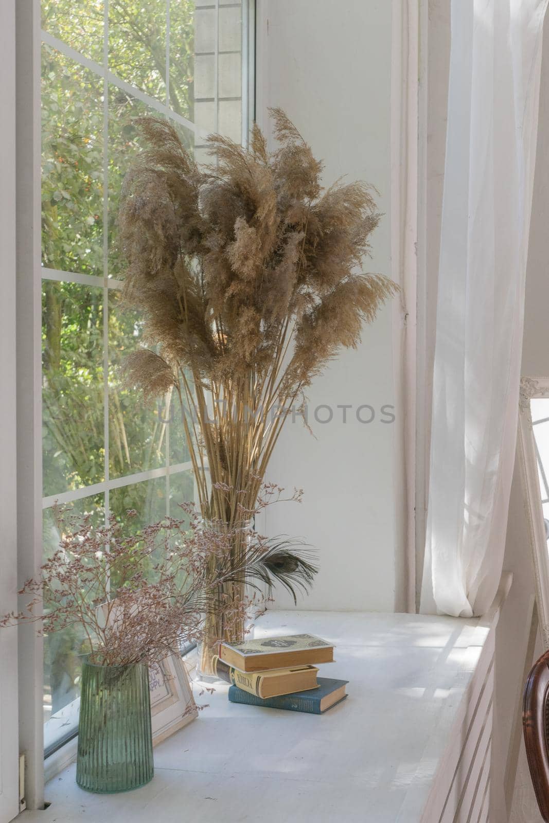 Stylish window design. Herbarium on the windowsill