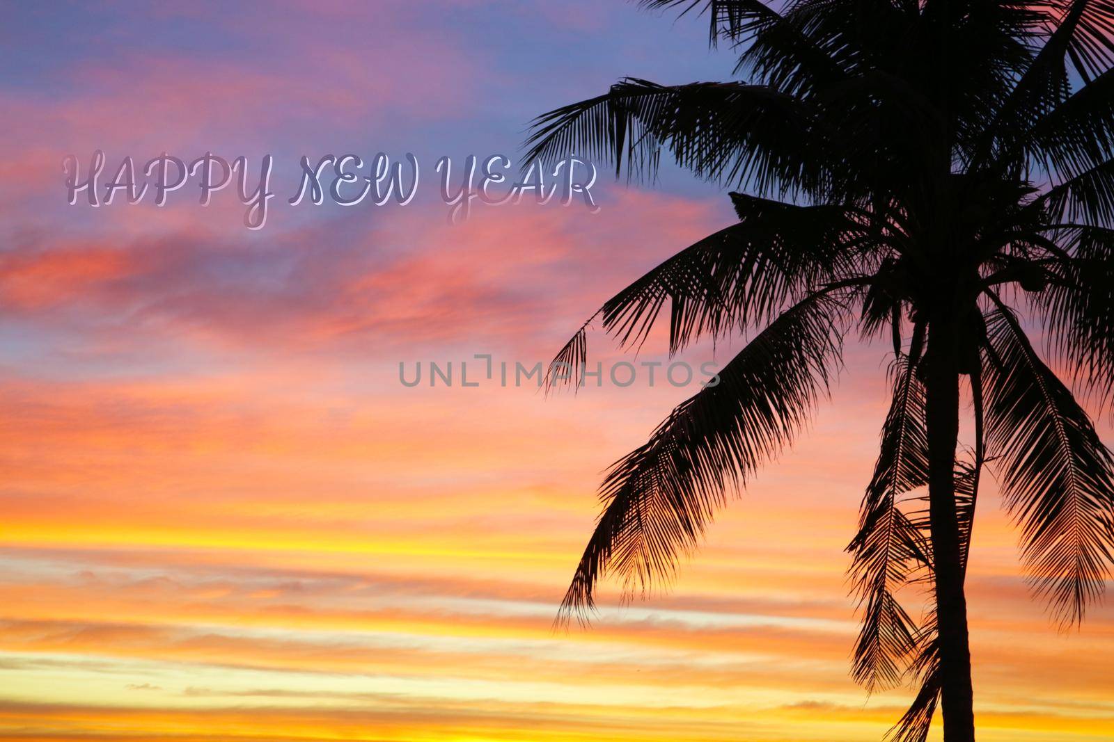 flame red orange yellow sky silhouette and happy new year text in sunset back on coconut tree