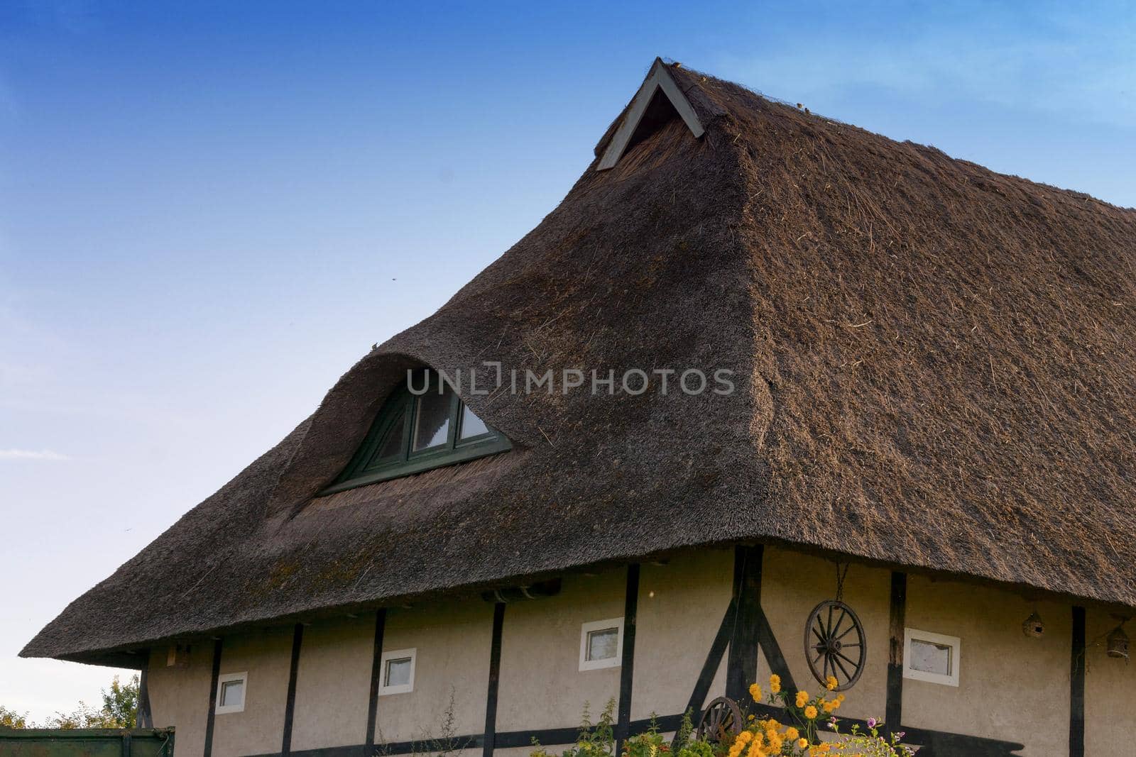 Detail of a house on the Fischland-Darß by JFsPic