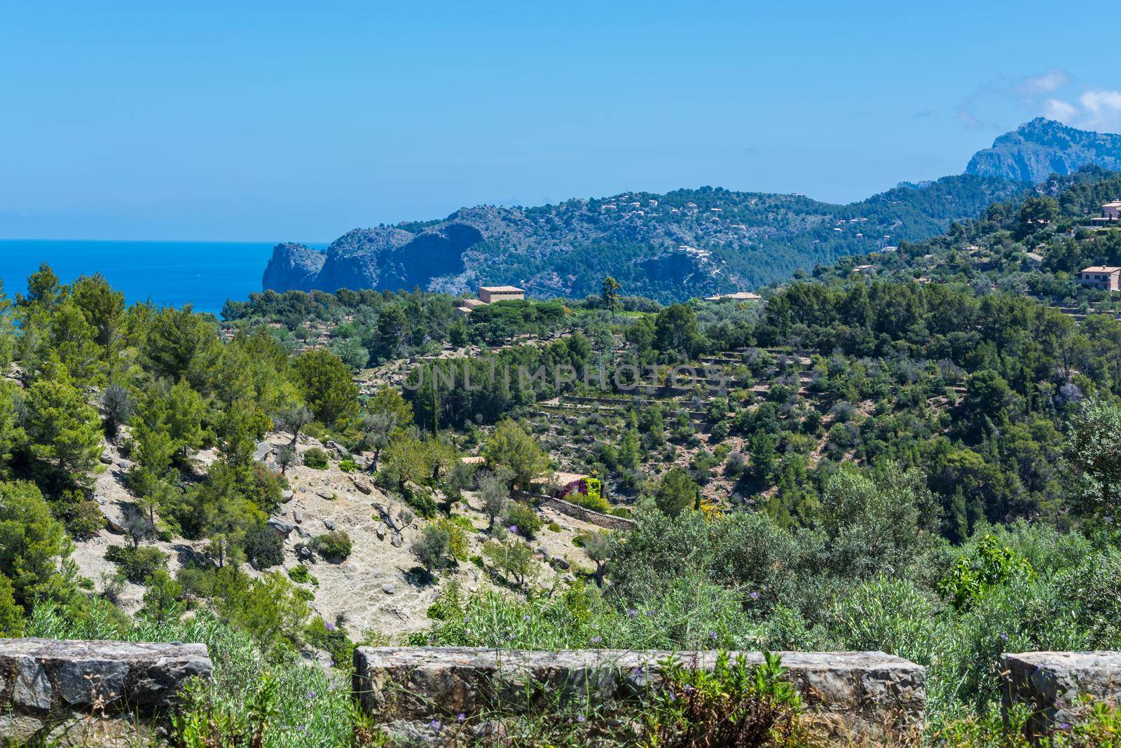 Wild West Coastline of Mallorca, Spain in the background the Mediterranean Sea.