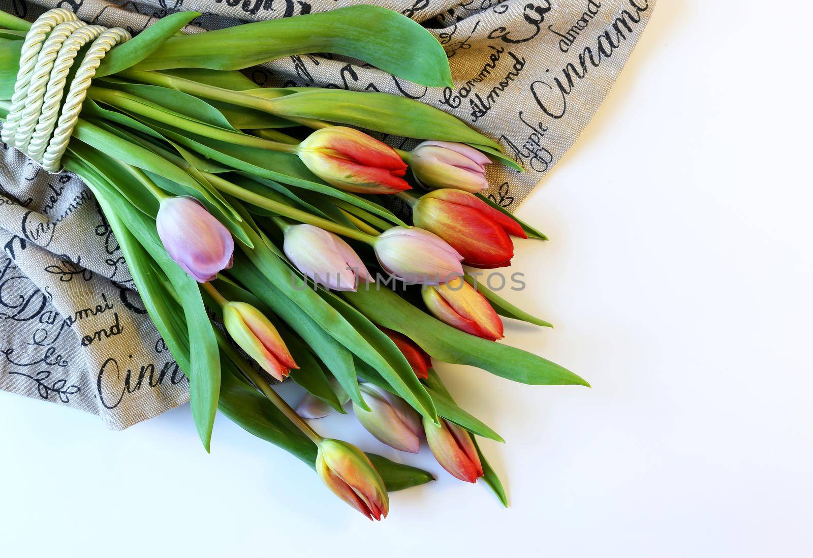 Bunch of fresh spring colorful flowers tulips on canvas white background. Mock up, board, card, banner