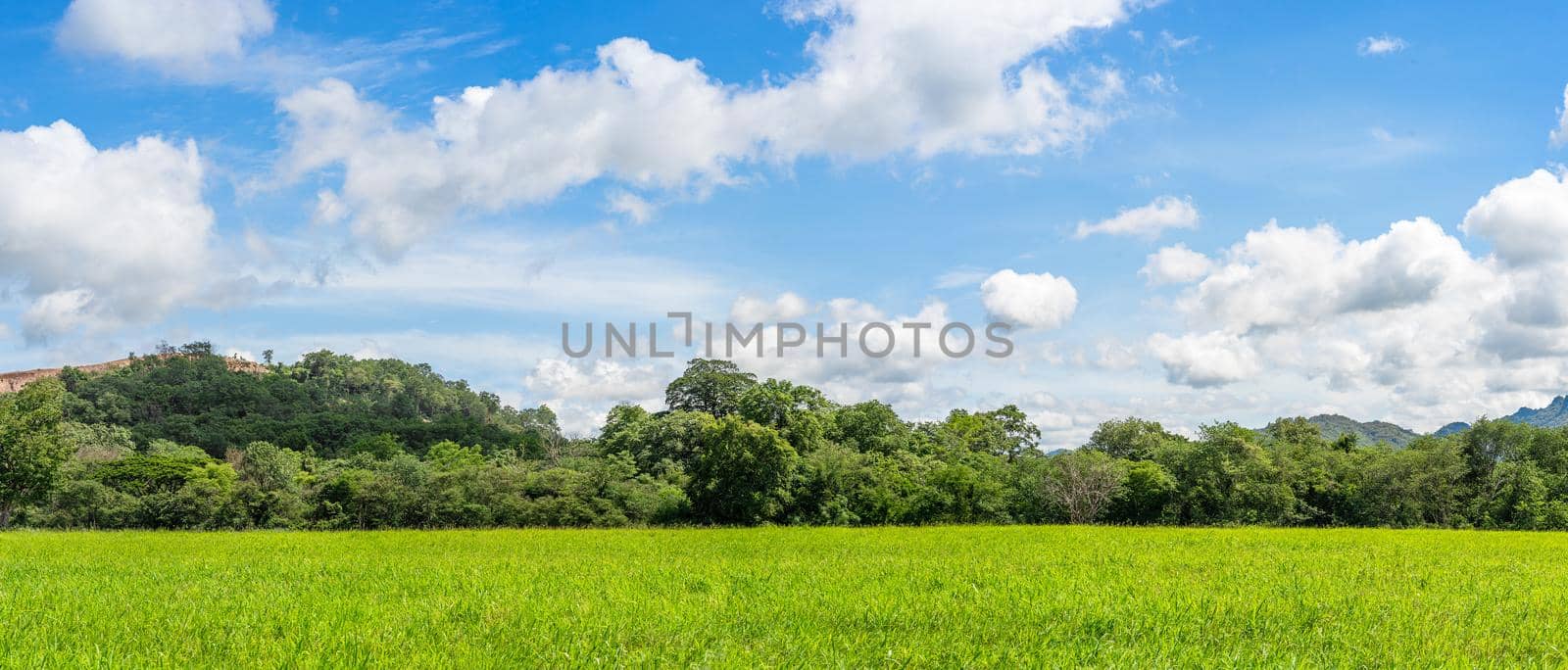 Panorama landscape view of green grass field agent blue sky in countryside of Thailand