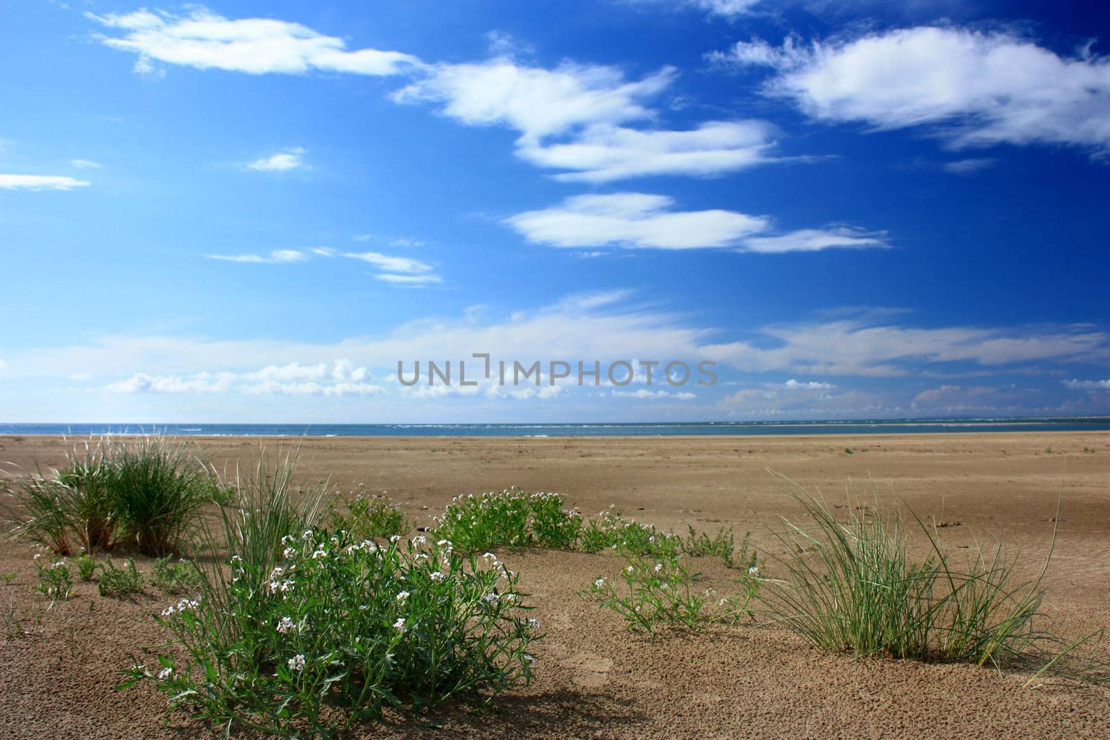 Summer landscape with green grass, road, dramatic cloudy sky clouds