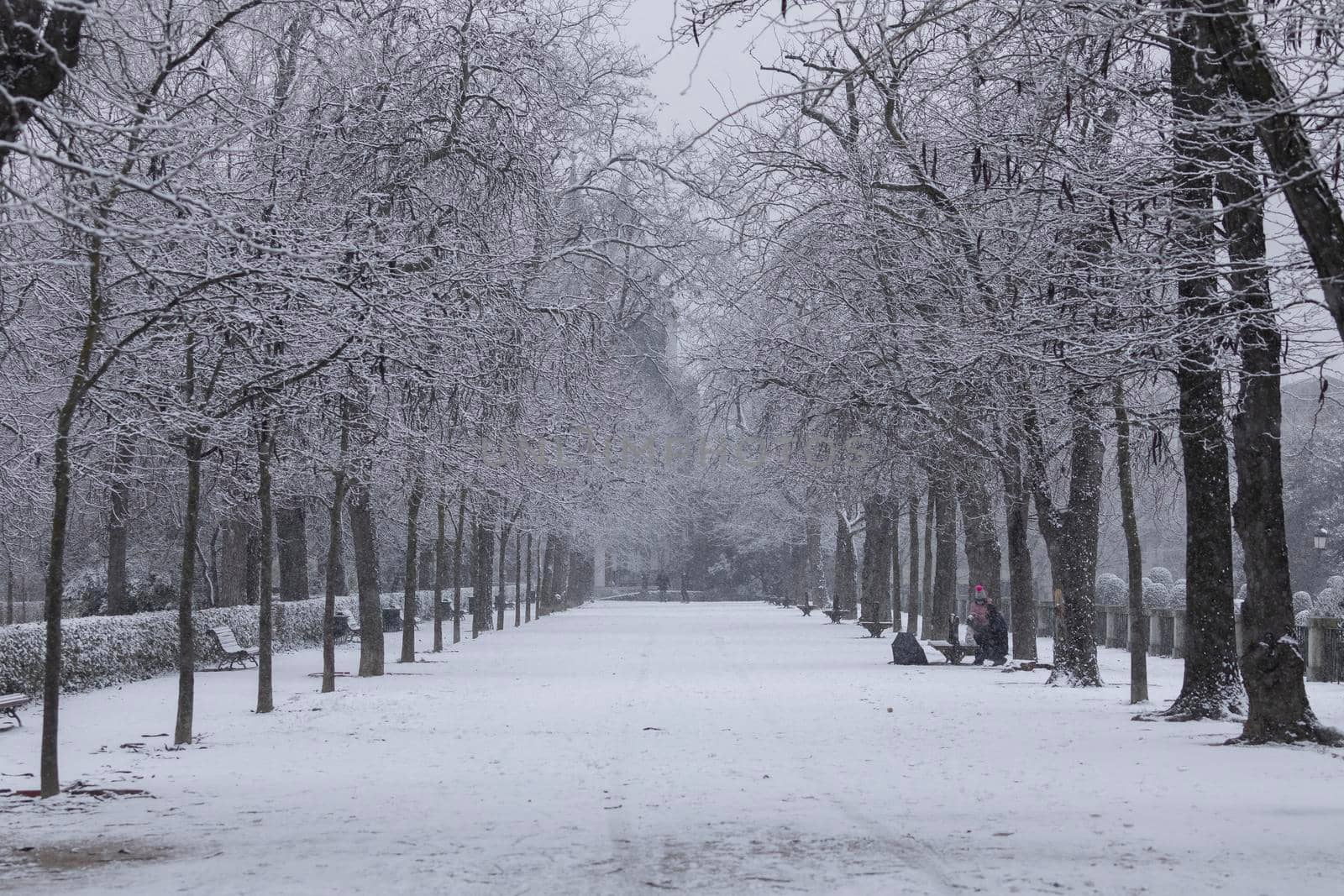 Madrid, Spain - January 07, 2021: General view of one of the paths of the Buen Retiro park in Madrid, in the middle of a snowy day, due to a wave of polar cold.