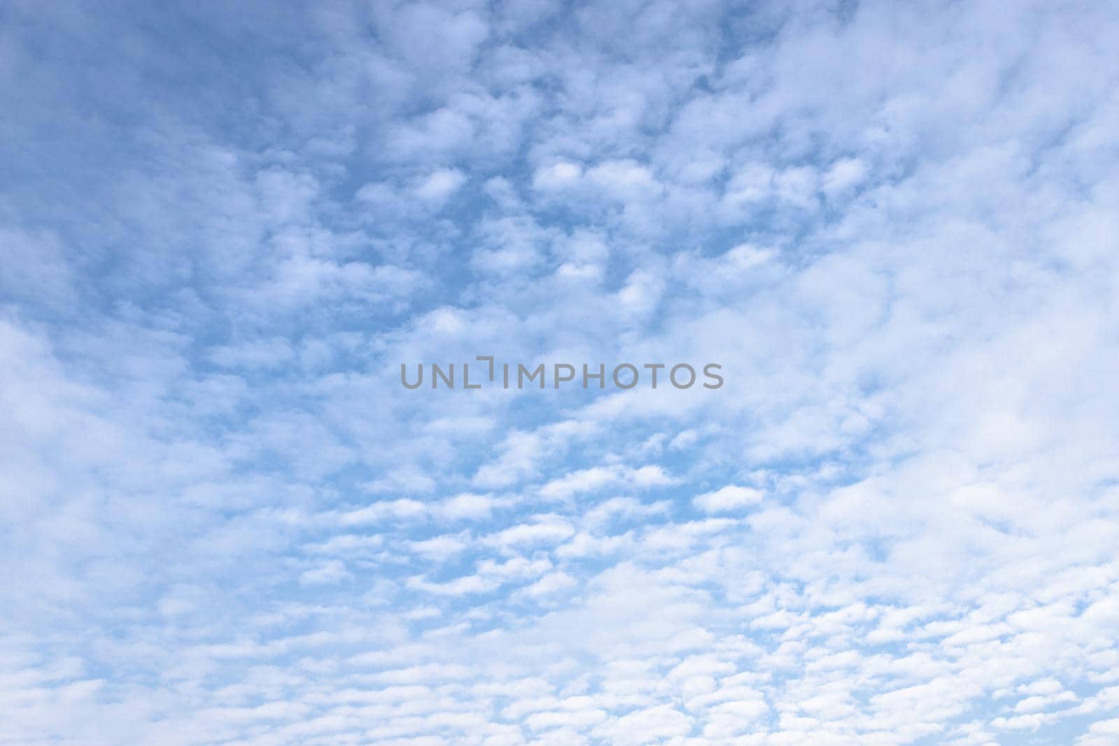 White clouds fill the blue sky. Ideal for concepts and backgrounds.