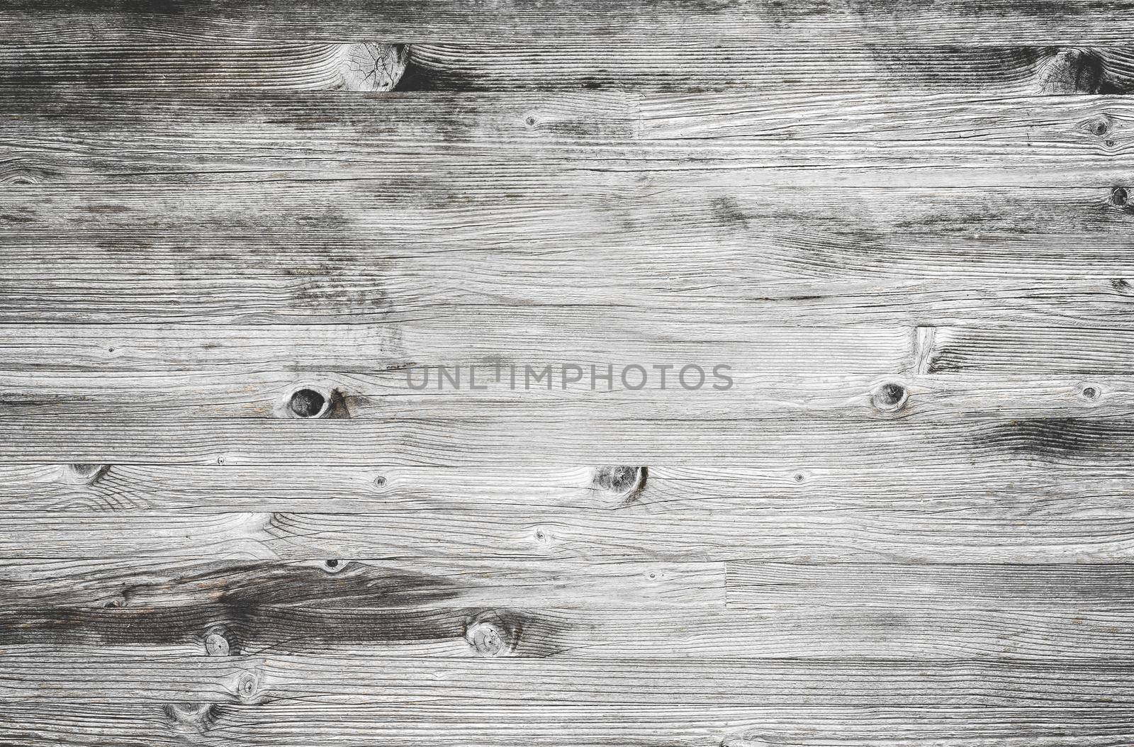 White wood background by germanopoli