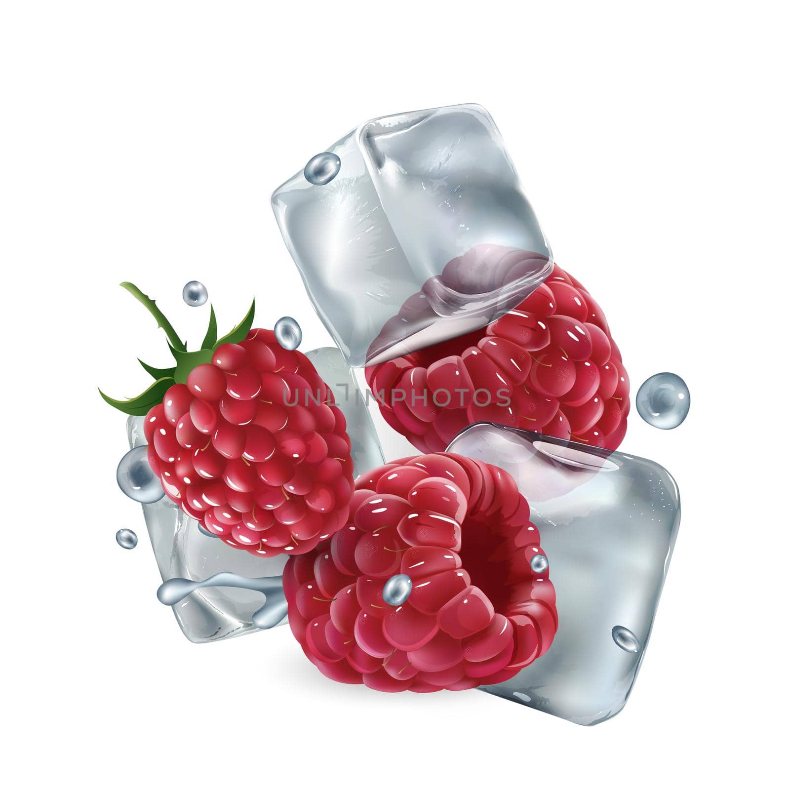Composition with fresh raspberries and ice cubes on a white background. Realistic style illustration.