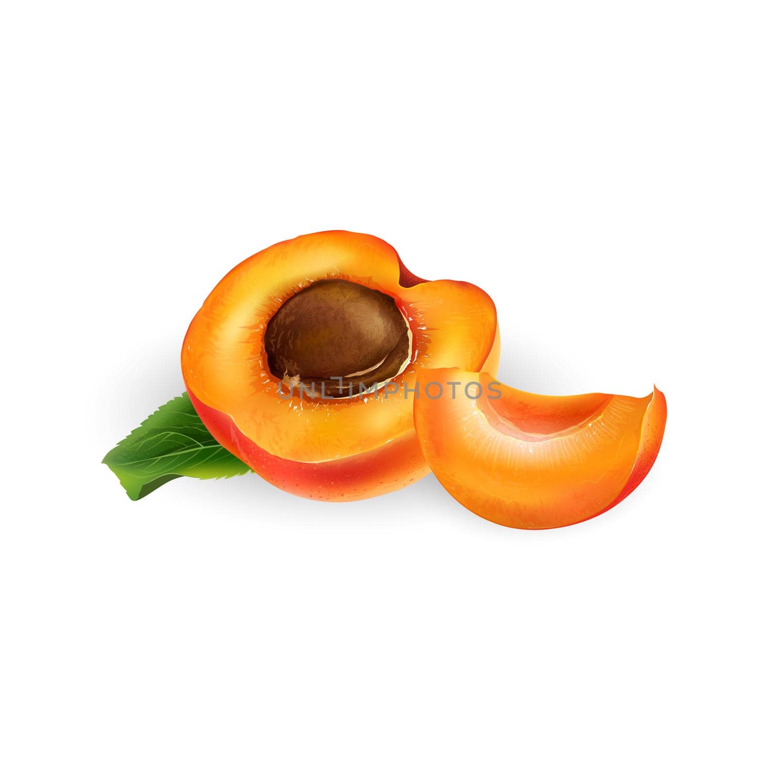 Ripe apricot half with pit and a slice on a white background. by ConceptCafe