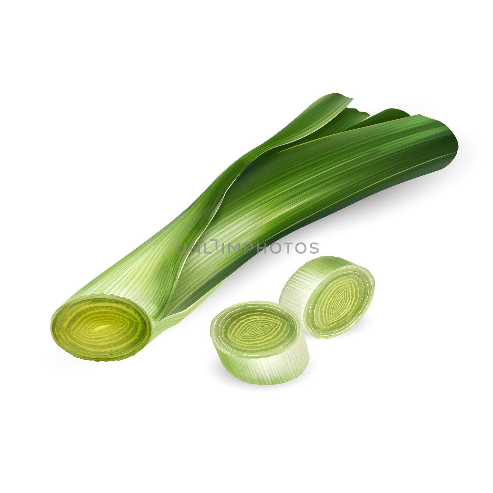 Fresh leek slices illustration on white background. by ConceptCafe