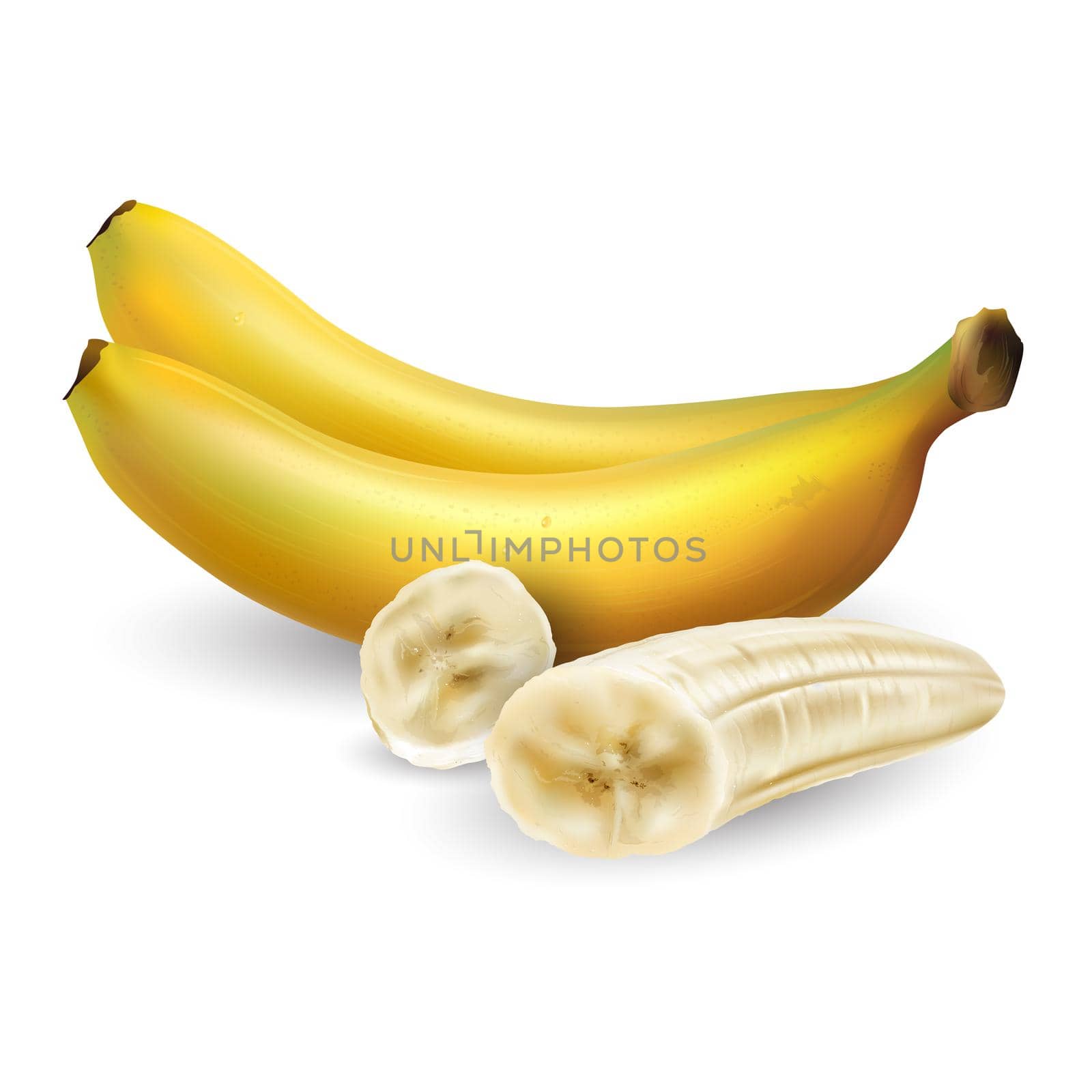 Banana composition with whole bananas and peeled slices. Realistic style illustration.