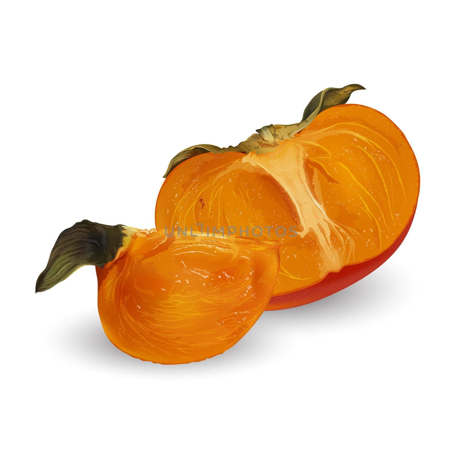 Juicy persimmon fruit on a white background. Realistic style illustration.